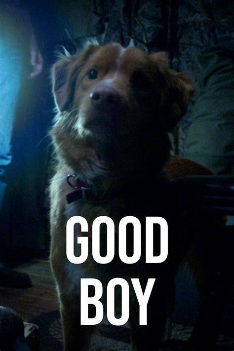 Poster Good Boy z festivalu SXSW a scény z nakrúcania so psom