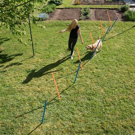 Ukážka agility domu a záhradných prekážok