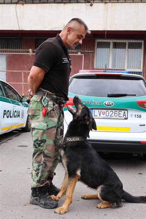 Ilustračná fotografia policajného psa v službe