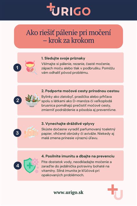 Infografika: Ako efektívne postupovať pri stratí psa (krok za krokom)