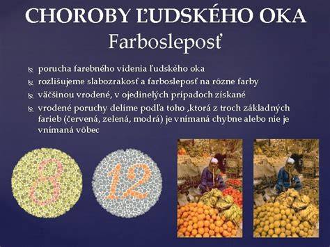 Porovnanie ľudského a psieho farebného videnia