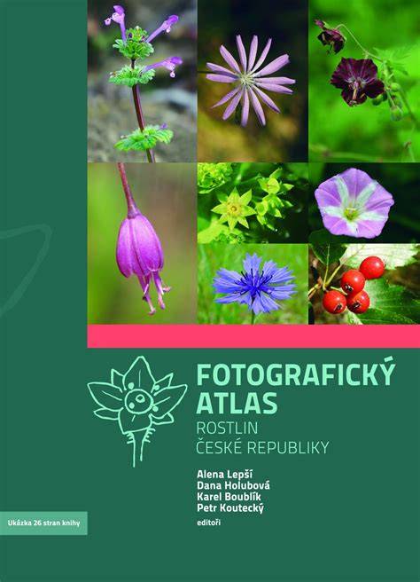 Infografika: 420 psích plemien - fotografický atlas
