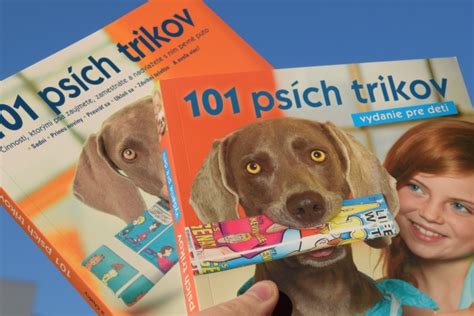 Infografika: 10 psích trikov a princípy výcviku