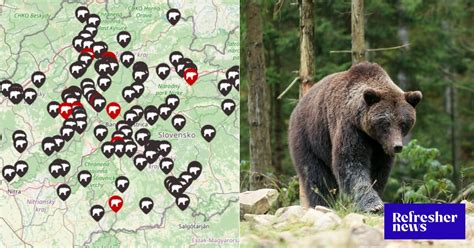 Infografika: biotopy a limity výskytu psíka medvedíkovitého na Slovensku