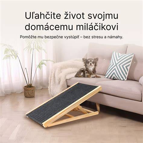 Obrázok znázorňujúci bezpečný byt pre psa