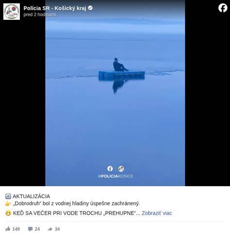 Fotografia psov pri vode na Zemplínskej Šírave