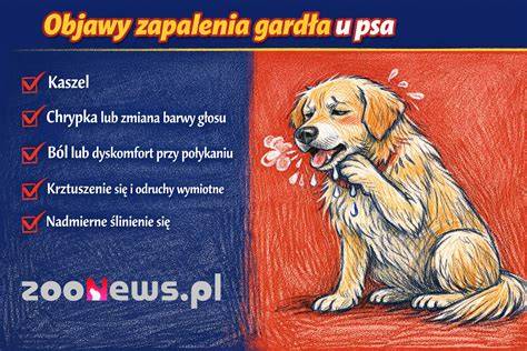 Infografika: Fázy gravidity a pôrodu u psa