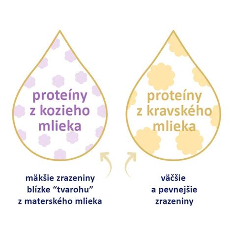 Infografika: Porovnanie typov mlieka pre psov (kravské, kozie, bezlaktózové, rastlinné)