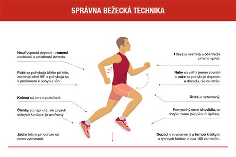 Infografika: správna technika odmeňovania a držanie vodítka
