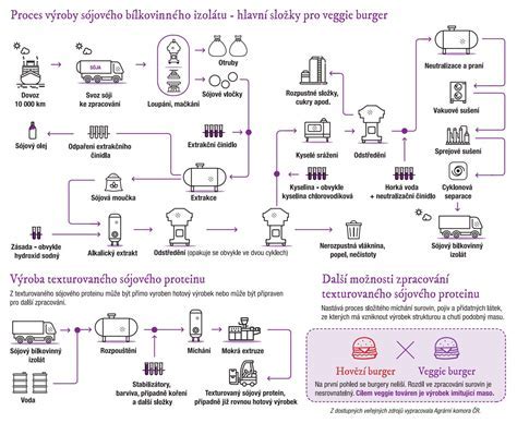 Infografika o procese výroby ovčieho salašníckeho údeného syra