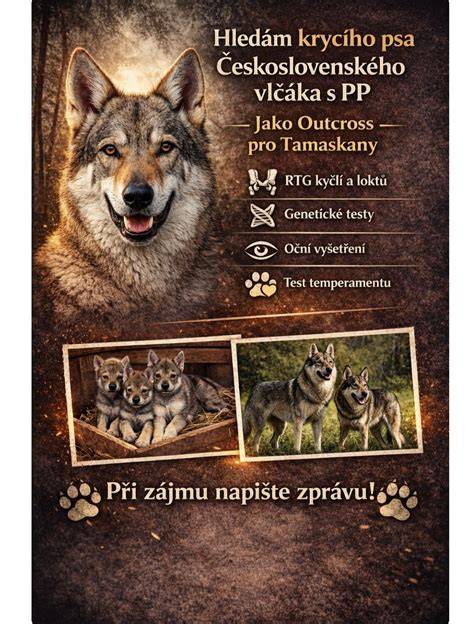Obrázok plyšového psa s motívom československého vlčiaka a ekologickej výplne
