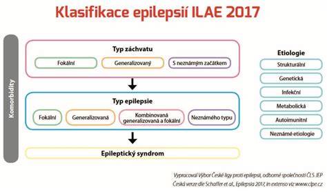 Infografika: typy epilepsie a záchvatov u psov