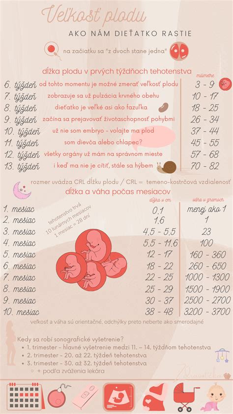 Infografika: Charakteristiky nemeckej dogy - veľkosť, povaha, potreby