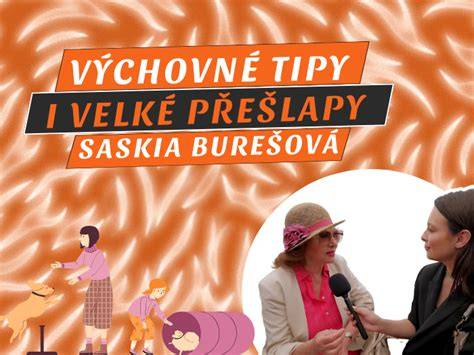 Infografika: Komplexný prístup k výcviku psov