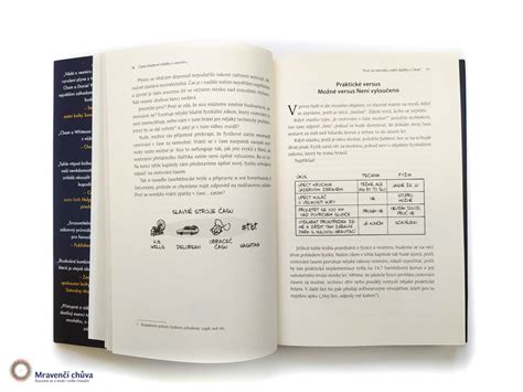 Infografika: Často kladené otázky o počte šteniat a fázach pôrodu