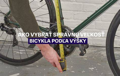 Infografika: Ako vybrať správnu veľkosť pelechu - kroky merania a rezervy