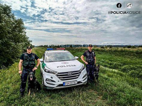 Obrázok: policajti so psom píšu na rádiovej vysielačke