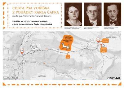 Infografika: Cesta psa na výstavu od registrácie po udelenie titulu