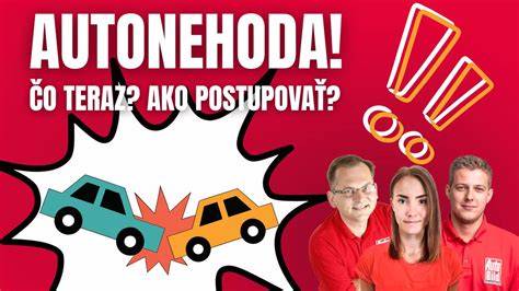 Infografika: Čo robiť pri dopravnej nehode so zvieraťom