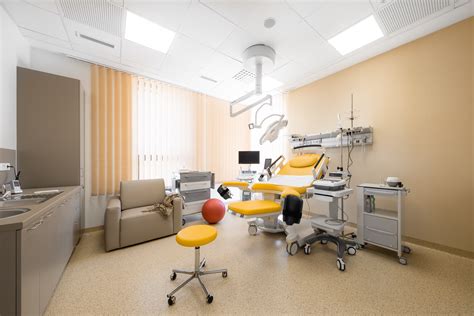 Pripravená pôrodnica pre sučku