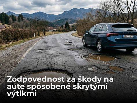 Mapa zodpovednosti: kto je zodpovedný za škody spôsobené psami