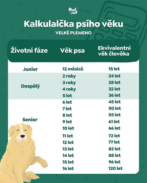 Infografika: Faktory ovplyvňujúce spánok psa (vek, plemeno, prostredie, aktivita)