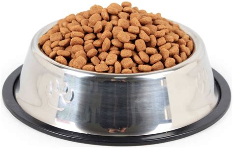 Pes a miska s jedlom