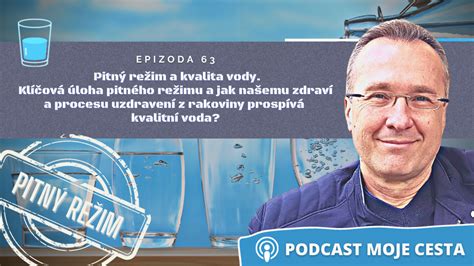 Vizualizácia optimálneho pitného režimu psa: počet misiek, ich poloha a pravidelnosť výmeny čerstvej vody