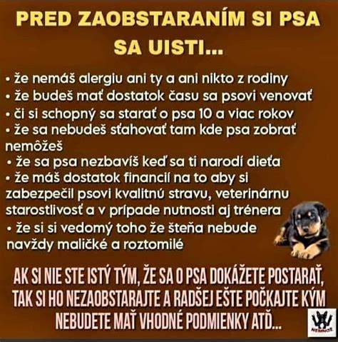 Infografika: Ako vybrať meno pre psa a čo treba vedieť