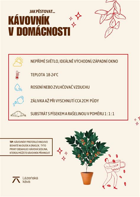 Infografika: Nosework a čuchové aktivity doma