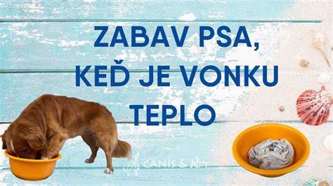 Infografika: Bezpečná hra so psom doma a na dvore