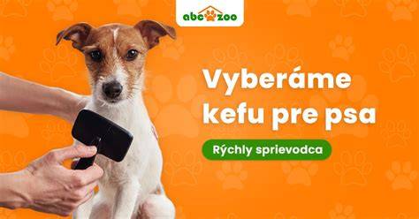Infografika: Ako si vybrať správnu voliéra pre psa