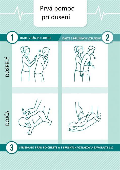 Infografika: Rozdelenie krmív a postupy prvej pomoci pri dusení psa