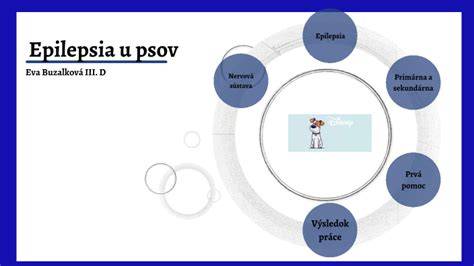 Infografika: Profil plemena a epilepsia u psov