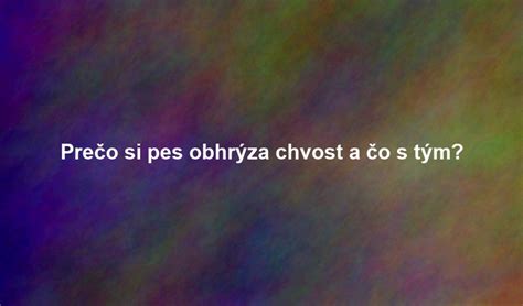 Infografika: Prečo pes chodí za majiteľom a čo s tým robiť