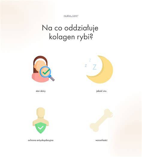 Infografika: Kolagén v tele psa a jeho účinky na kĺby