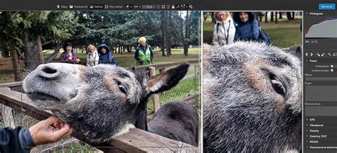 Fotografia záchrany a liečby zvierat