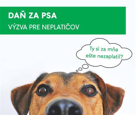 Graf: Prehľad procesov - evidencia a daň za psa