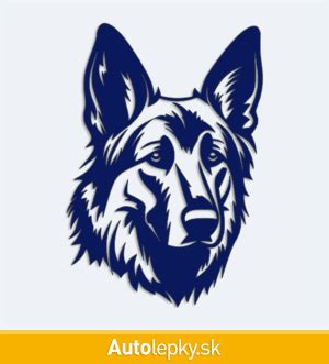 Obrázok: Anatomická schéma nemeckého ovčiaka (hlava, telo, chvost)