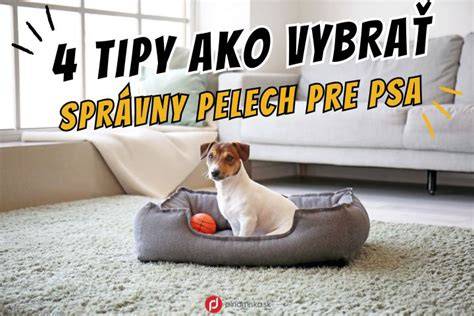 Infografika: Ako vybrať správny pelech pre hlodavce