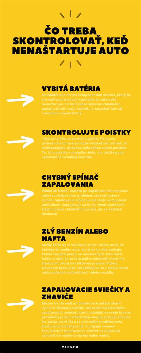 Infografika: čo treba skontrolovať pred adopciou psa