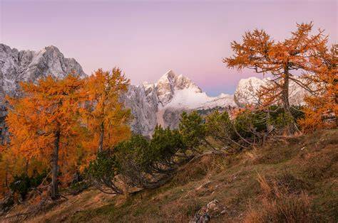 Infografika: Prehľad významných kopcov a výšok v regióne (Tatry, Slemenova špica, Mojstrovka, Jalovec)