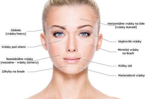 Štruktúra vrások na tvári psa mopsa