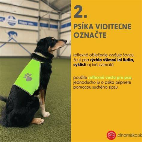Infografika: Bezpečné venčenie psa na verejnosti