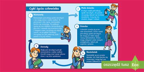 Infografika o cykle hárania sučky