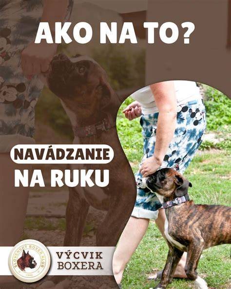 Šteniatko otvára oči - ilustrácia vývoja zmyslov