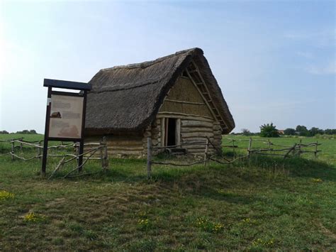 archeologické nálezisko s kvetinovým peľom