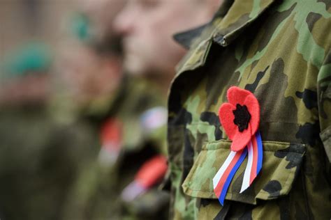 symbolický mak na vojnovom hrobe