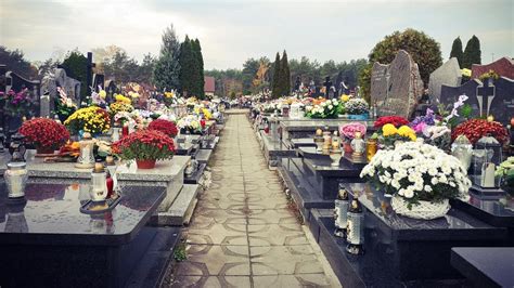 rôzne druhy kvetov na hroboch