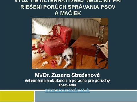 Mapa porúch správania psov a ich riešenia